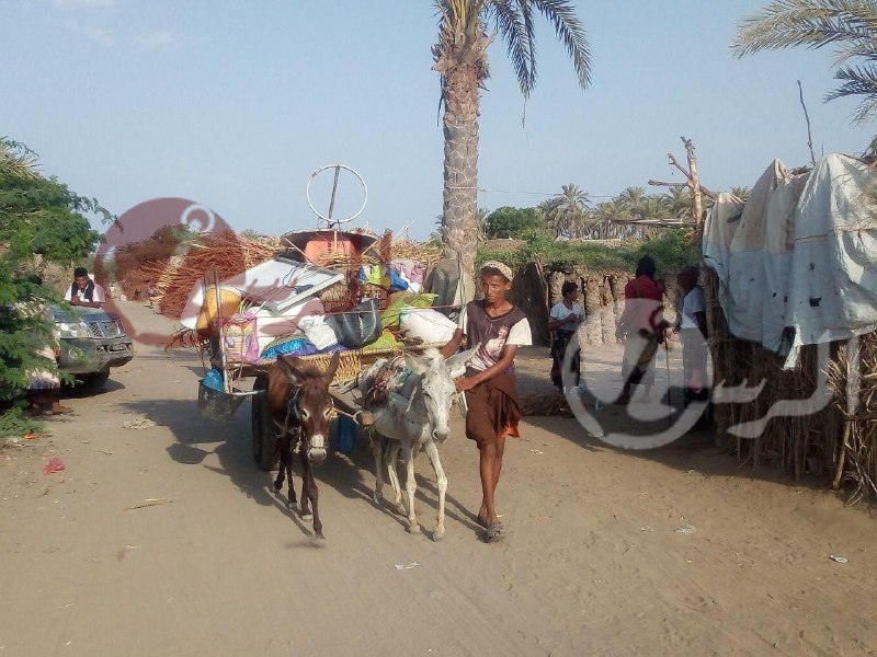 إحصائية أممية: 74 في المائة من اليمنيين النازحين نساء وأطفال
