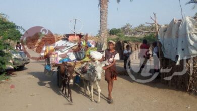 عدد النازحين في اليمن يتخطى 17 ألفاً منذ بداية العام الجاري