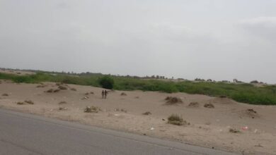 مليشيا الحوثي تواصل قصف منازل المواطنين في الجبلية