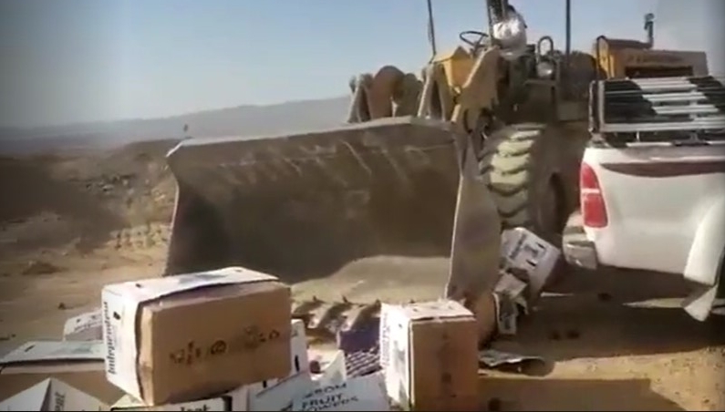 مشرف حوثي يدهس حمولة مواطن من التفاح والسبب “أمريكية”
