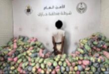الامن السعودي يقبض على يمني بحوزته نصف طن من القات