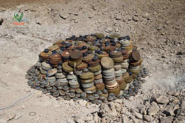 " مسام" ينتزع 1307 لغما من مخلفات مليشيا الحوثي خلال أسبوع