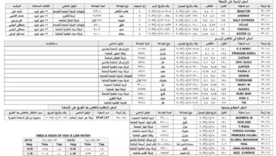 وصول سفن إلى ميناء الحديدة تحمل مشتقات نفطية وحاويات ومواد غذائية