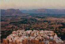 " كعكة وسكر " فيلم يمني يفوز بالمركز الثاني في مسابقة الجزيرة للأفلام الوثائقية القصيرة