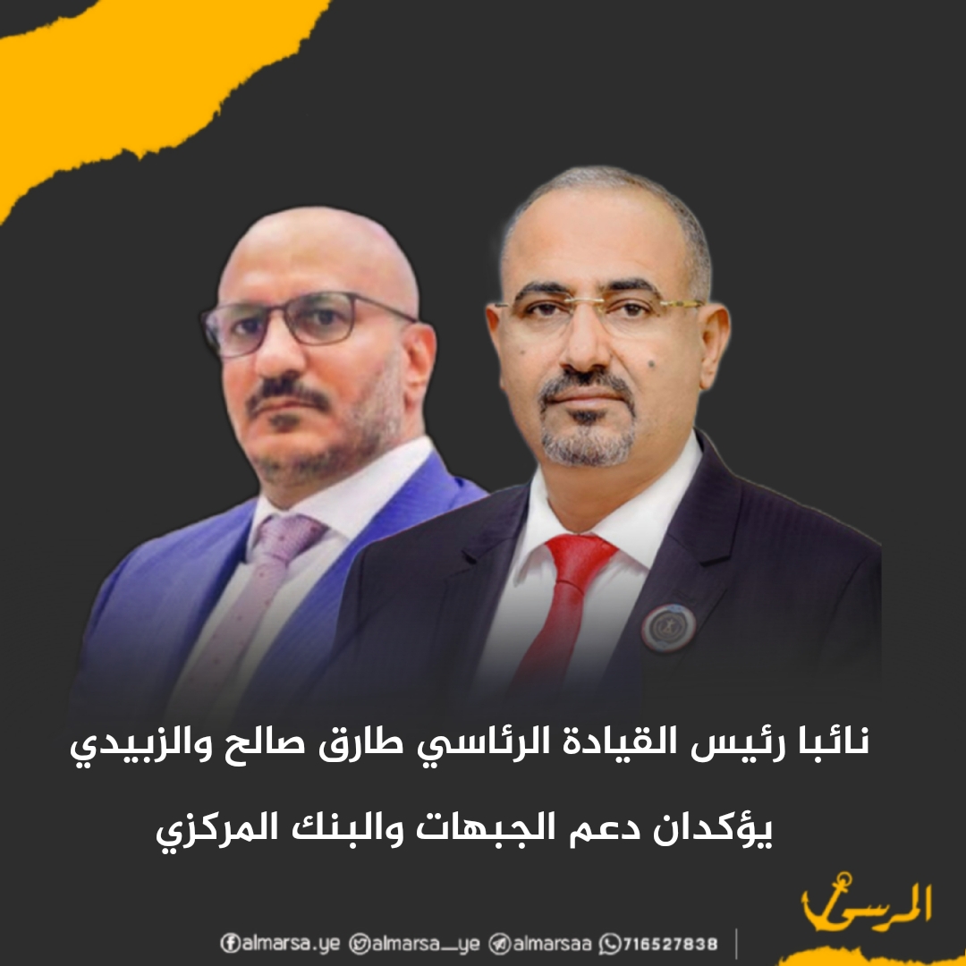 نائبا رئيس القيادة الرئاسي طارق صالح والزبيدي يؤكدان دعم الجبهات والبنك المركزي