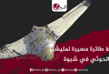 سقوط طائرة مسيرة لمليشيا الحوثي في شبوة