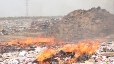 إتلاف كمية كبيرة من الأدوية المهربة في المخا بالساحل الغربي