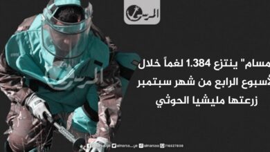 "مسام" ينتزع 1384 لغماً خلال الأسبوع الرابع من شهر سبتمبر زرعتها مليشيا الحوثي