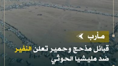 قبائل مذحج وحِمير تُعلن النفير ضد مليشيا الحوثي