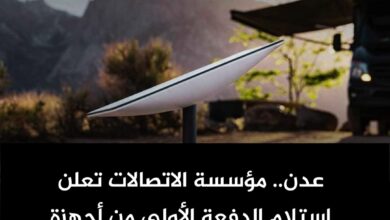 الجوف: قبائل دهم تكشف بالأرقام فساد العكيمي والإصلاح: "خدعوا التحالف" (بيان)