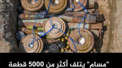 "مسام" يتلف أكثر من 5000 قطعة من الذخائر غير المنفجرة في أبين 