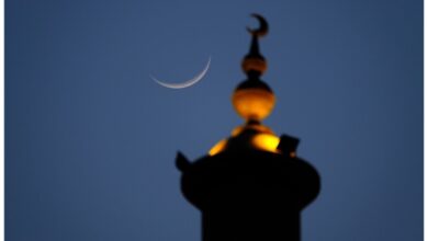 حيدان يرفض توجيهات "الرئاسي" ويشرعن عمليات تجنيد مشبوهة بتعز