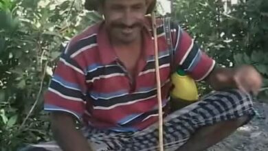 تعز.. مليشيا الحوثي تقتل مواطنًا مُسنًا في مقبنة