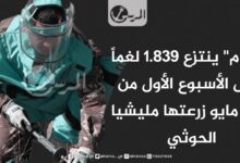 "مسام" ينتزع 1.839 لغماً خلال الأسبوع الأول من شهر مايو زرعتها مليشيا الحوثي