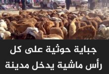 جباية حوثية على كل رأس ماشية يدخل مدينة الحديدة