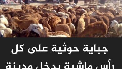 جباية حوثية على كل رأس ماشية يدخل مدينة الحديدة