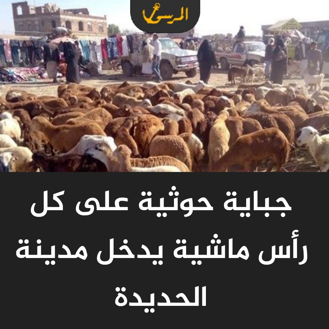 جباية حوثية على كل رأس ماشية يدخل مدينة الحديدة