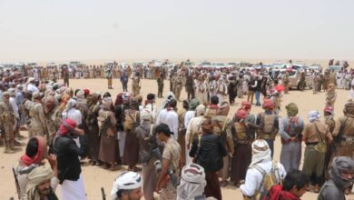 قبائل دهم في الجوف تتحد في حلف لمواجهة مليشيا الحوثي