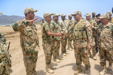 طارق صالح يتفقد بحرية المقاومة الوطنية في الجزُر المحررة بالبحر الأحمر