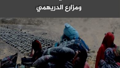 تحذير مقلق: الحوثي يعيد تلغيم سواحل ومزارع الدريهمي