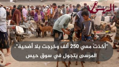 "أخذتْ معي 250 ألف وخرجت بلا أضحية"، المرسى يتجول في سوق حيس