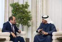 رئيس دولة الامارات والرئيس المصري يبحثان العلاقات الأخوية والتطورات الاقليمية