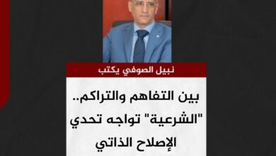 نبيل الصوفي يكتب.. بين التفاهم والتراكم.. "الشرعية" تواجه تحدي الإصلاح الذاتي