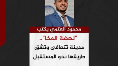 محمود العتمي يكتب.. "نهضة المخا".. مدينة تتعافى وتشق طريقها نحو المستقبل