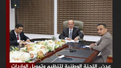 عدن.. اللجنة الوطنية لتنظيم وتمويل الواردات تعتمد تمويلات بـ2.5 مليار دولار خلال 100 يوم