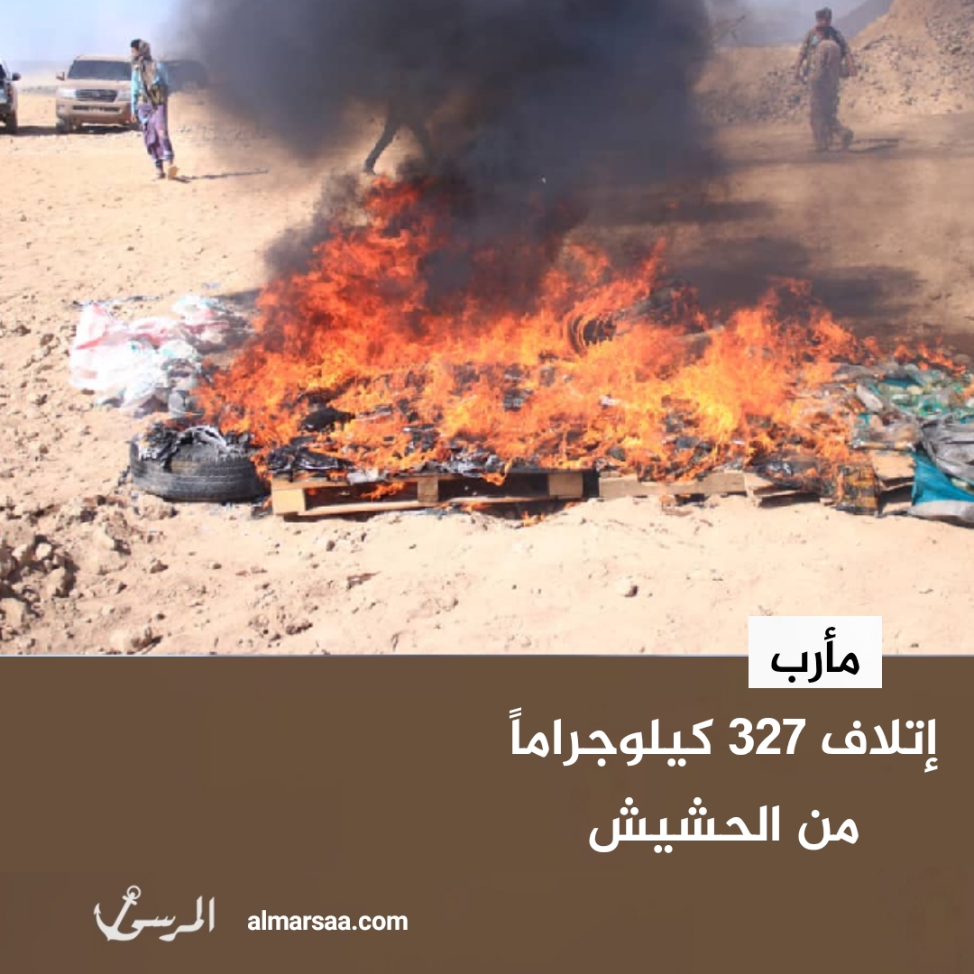 مأرب.. إتلاف 327 كيلوجراماً من الحشيش