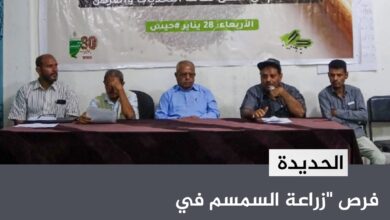 فرص "زراعة السمسم في السهل التهامي" في ندوة نقاشية