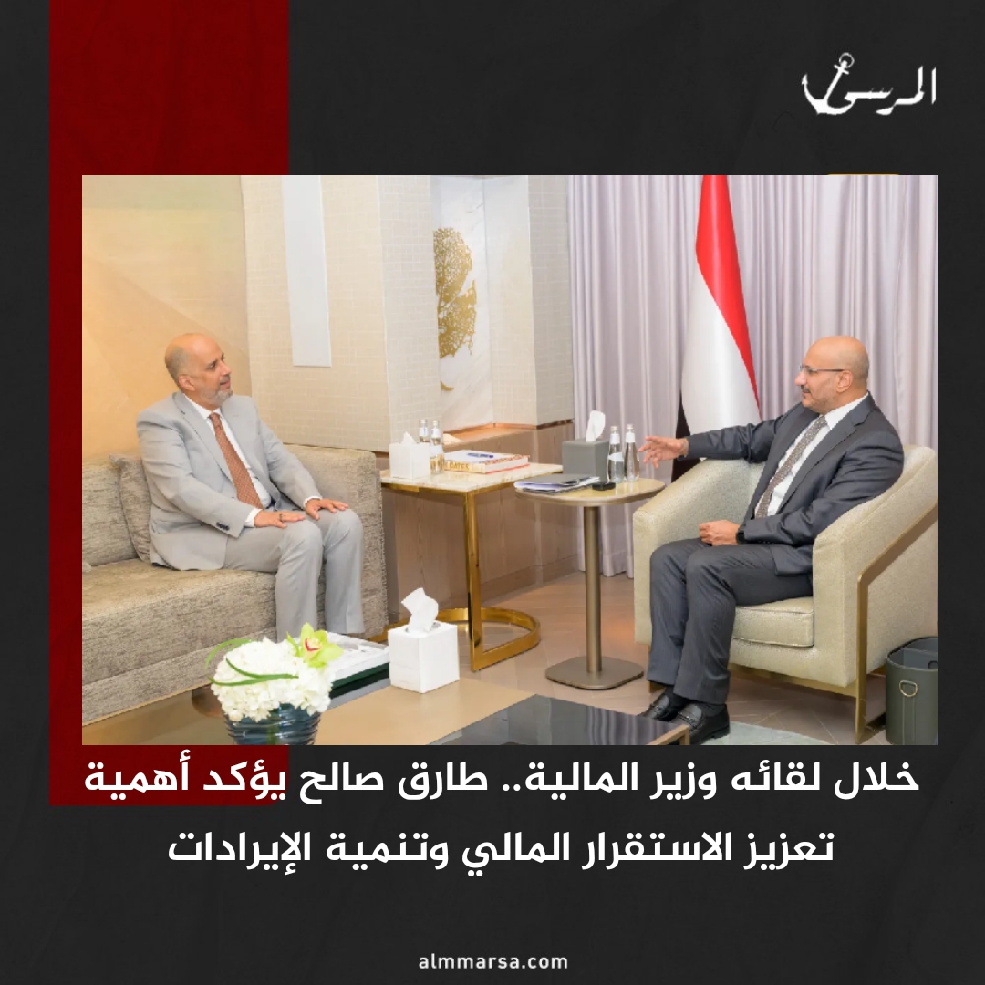 خلال لقائه وزير المالية.. طارق صالح يؤكد أهمية تعزيز الاستقرار المالي وتنمية الإيرادات