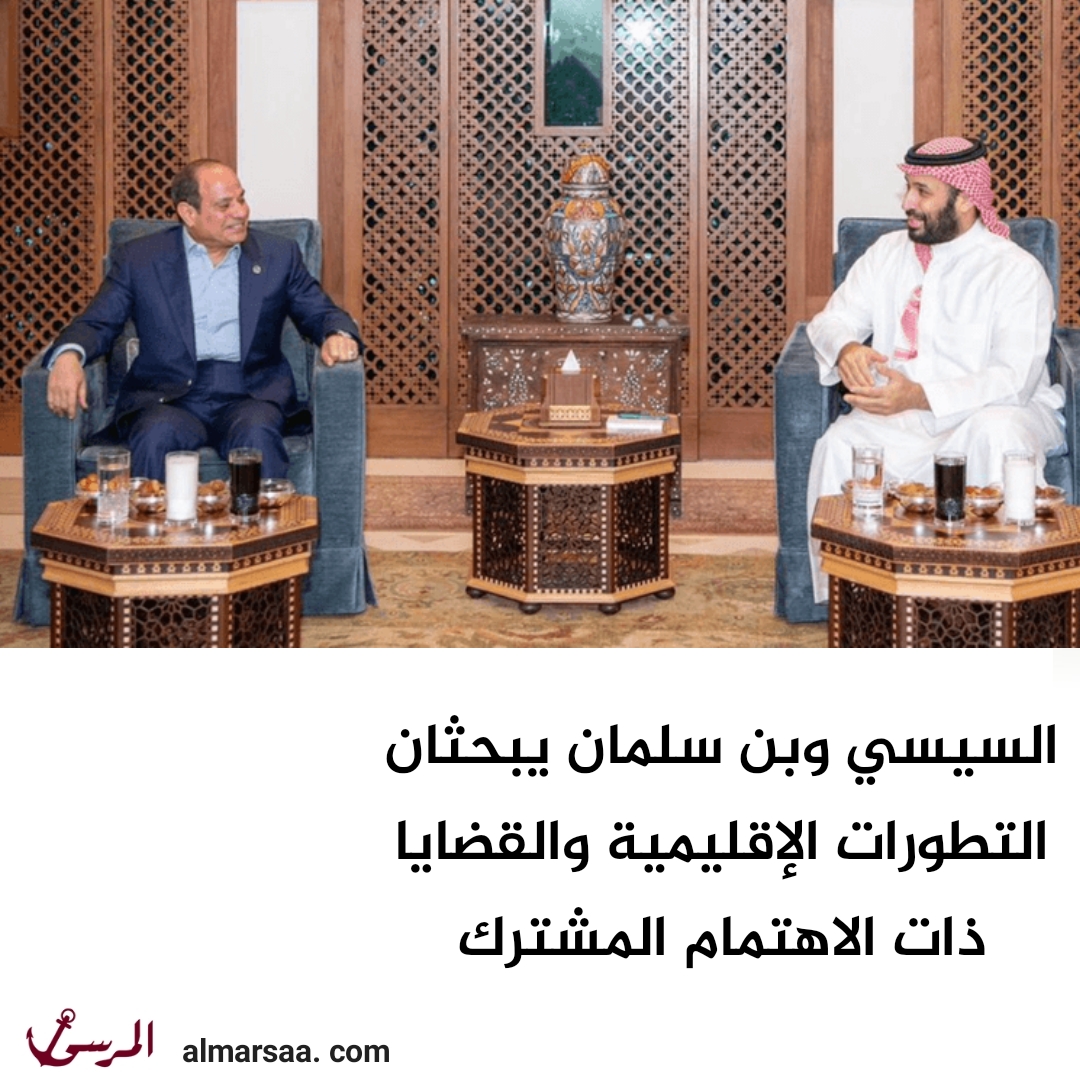 السيسي وبن سلمان يبحثان التطورات الإقليمية والقضايا ذات الاهتمام المشترك