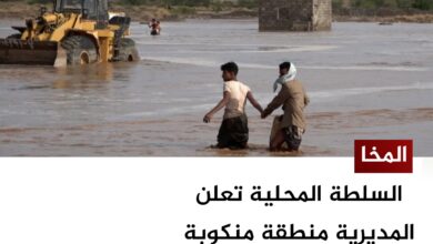 المخا.. السلطة المحلية تعلن المديرية منطقة منكوبة جراء المنخفض الجوي