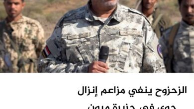 الزحزوح ينفي مزاعم إنزال جوي في جزيرة ميون ويؤكد استقرار الأوضاع