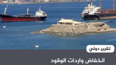 انخفاض واردات الوقود والغذاء إلى الموانئ الحكومية بنسبة 18% - تقرير دولي