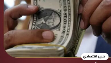 لجأت الحكومة للخيار الأسهل ورفعت سعر الدولار الجمركي - خبير اقتصادي