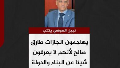 نبيل الصوفي يكتب.. يهاجمون انجازات طارق صالح لأنهم لا يعرفون شيئا عن البناء والدولة
