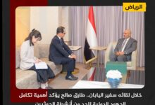 خلال لقائه سفير اليابان.. طارق صالح يؤكد أهمية تكامل الجهود الدولية للحد من أنشطة الحوثيين
