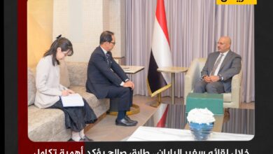 خلال لقائه سفير اليابان.. طارق صالح يؤكد أهمية تكامل الجهود الدولية للحد من أنشطة الحوثيين