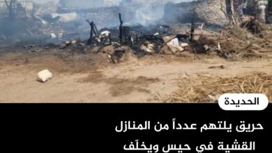 حريق يلتهم عدداً من المنازل القشية في حيس ويخلّف خسائر مادية