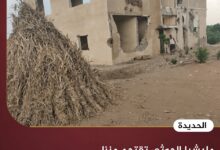 مليشيا الحوثي تقتحم منزل المشير عبدالله السلال وتنهب محتوياته في الحديدة