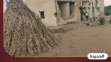 مليشيا الحوثي تقتحم منزل المشير عبدالله السلال وتنهب محتوياته في الحديدة