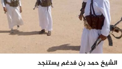 الشيخ حمد بن فدغم يستنجد بقبائل الجوف للثأر من الحوثيين