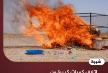 شبوة.. اتلاف كميات كبيرة من المواد المخدرة والمؤثرات العقلية