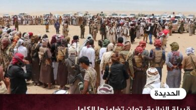 قبيلة الزرانيق تعلن تضامنها الكامل مع الشيخ حمد بن فدغم وتطالب بحماية مطارح القبائل