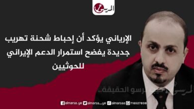 الإرياني يؤكد أن إحباط شحنة تهريب جديدة يفضح استمرار الدعم الإيراني للحوثيين