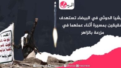 مليشيا الحوثي في البيضاء تستهدف شقيقين بمسيرة أثناء عملهما في مزرعة بالزاهر