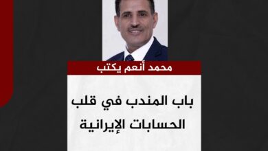 محمد أنعم يكتب.. باب المندب في قلب الحسابات الإيرانية